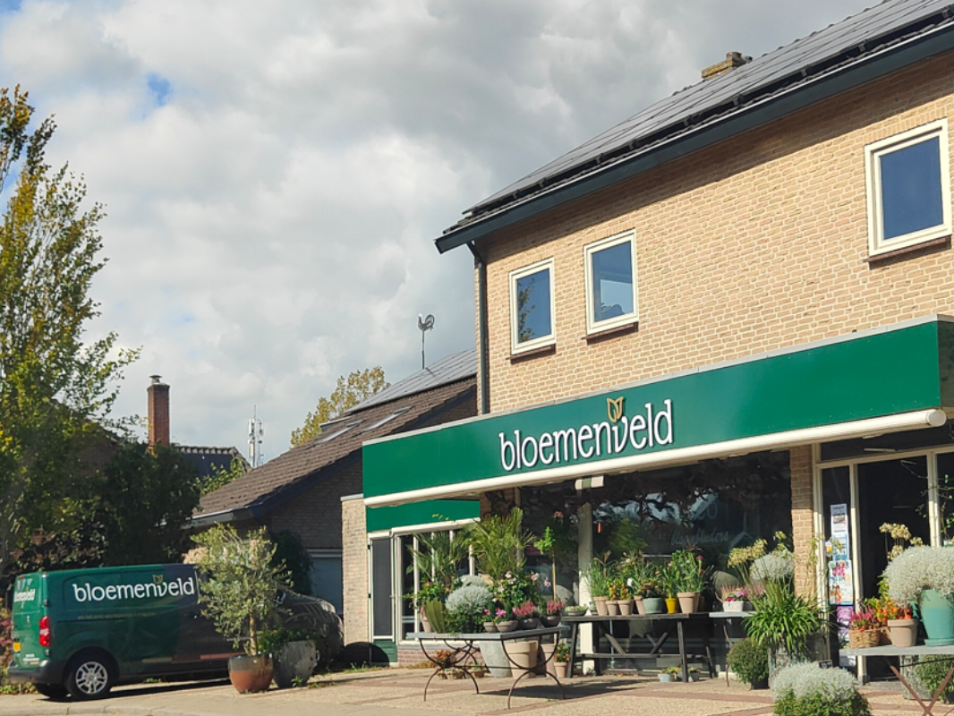 Bloemenveld-Varsseveld-1066x800
